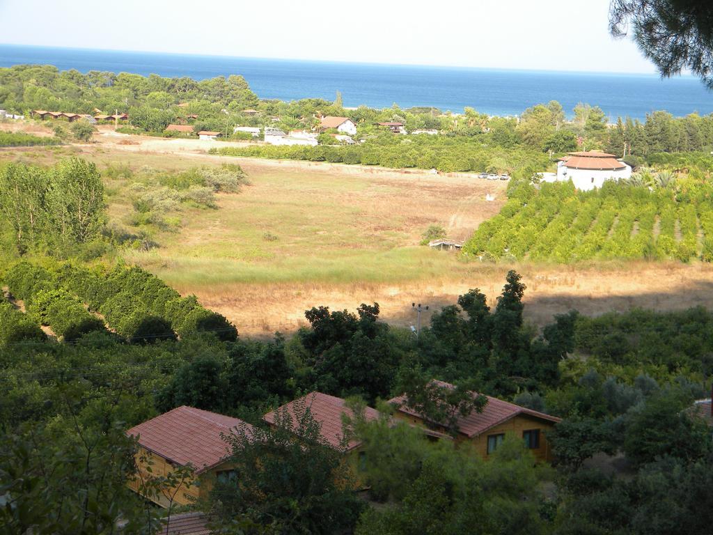 Çıralı Azra Villas חדר תמונה