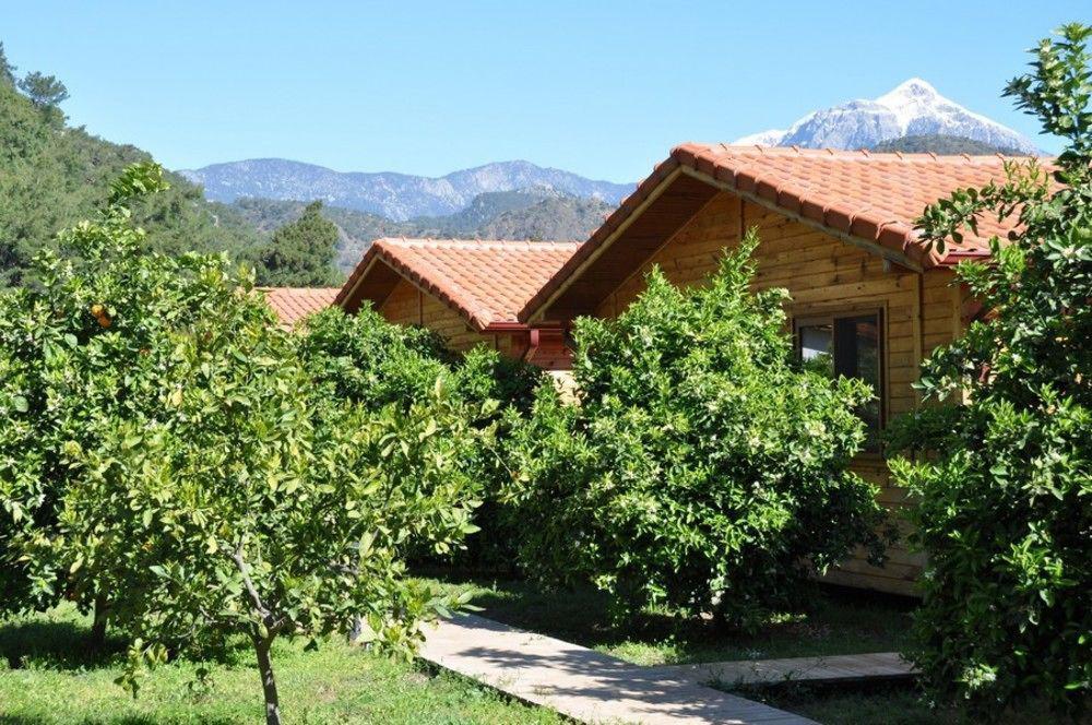 Çıralı Azra Villas מראה חיצוני תמונה